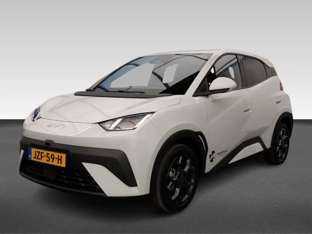 BYD DOLPHIN SURF