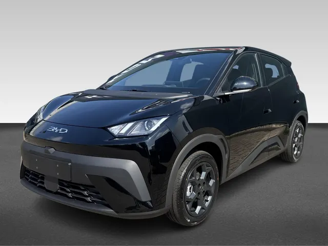 BYD DOLPHIN SURF