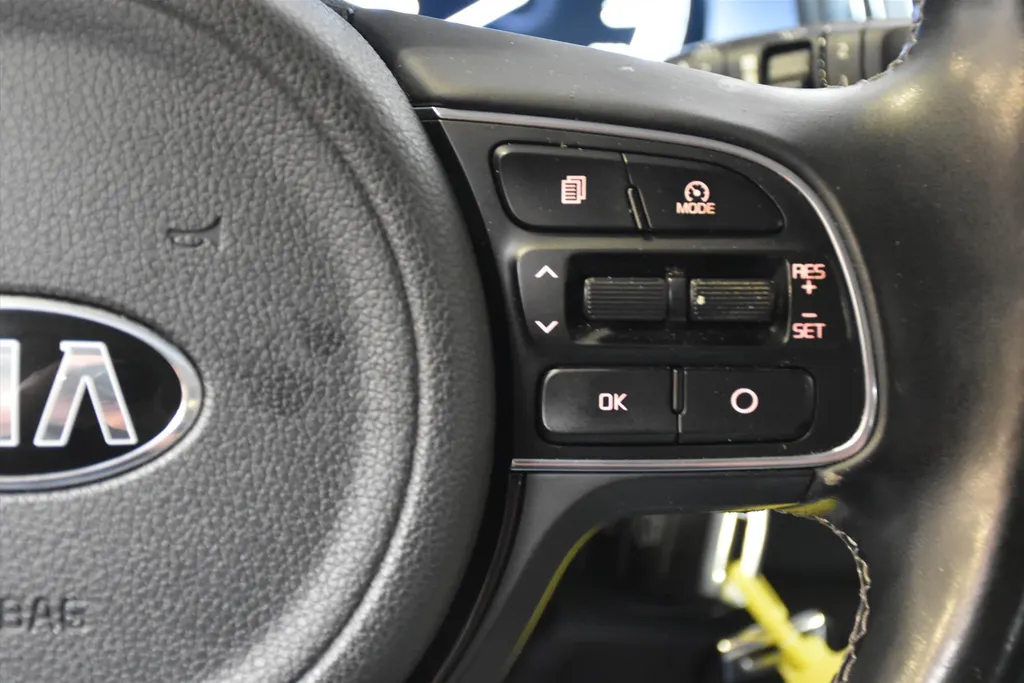 Kia Niro 1.6 GDi Hybrid 141pk DCT6 First Edition Navi | Camera | PDC | Cruise | Trekhaak | LMV