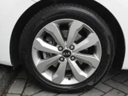 Kia Rio 1.0 T-GDi MHEV DynamicPlusLine | BTW Auto | Navi | Clima | Keyless | Camera | LM Velgen |