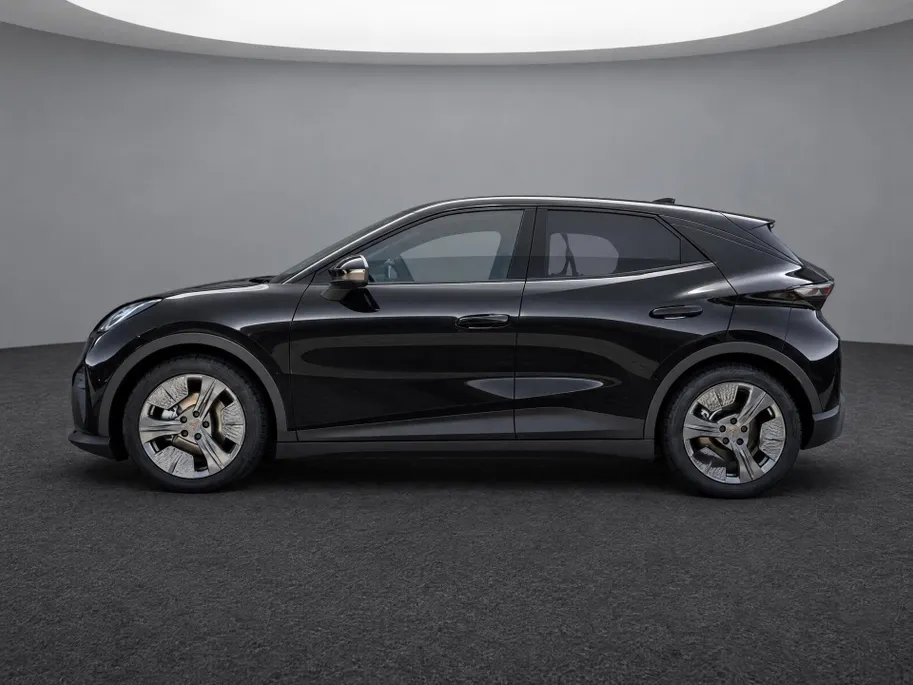 CUPRA Raval Business 39 kWh 135 PK l Stoel & Stuurverwarming l Levering Januari