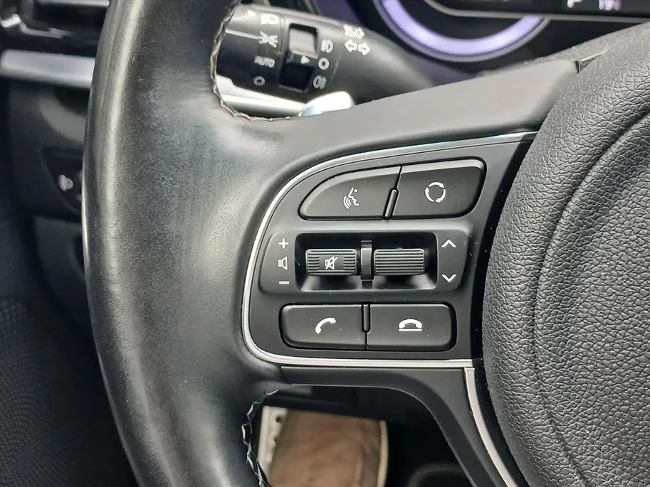 Kia Niro 1.6 PHEV 141pk DynamicPlusLine I Trekhaak I Leder I Stoelverwarming