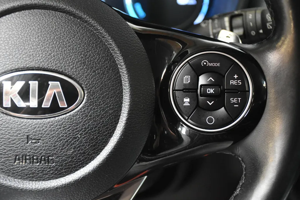 Kia e-Soul 64kWh ExecutiveLine I SOH 100% I TREKHAAK