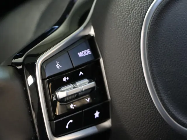 Kia Sorento 1.6 T-GDi Plug-in Hybrid 4WD ExecutiveLine 7p Trekhaak