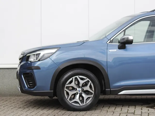 Subaru Forester 2.0i e-BOXER Luxury | Navi | Camera | Trekhaak