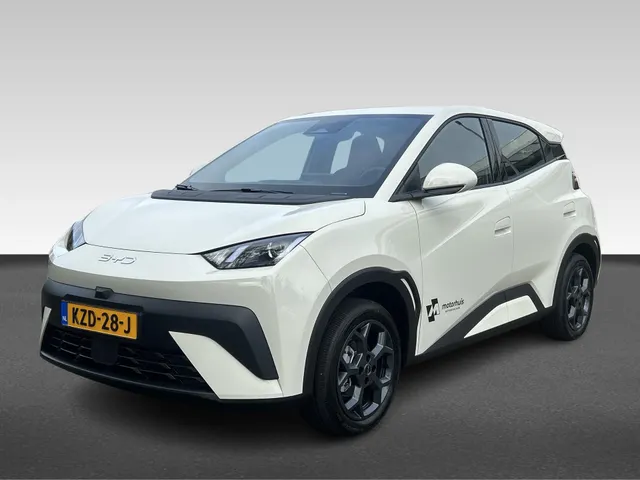 BYD DOLPHIN SURF