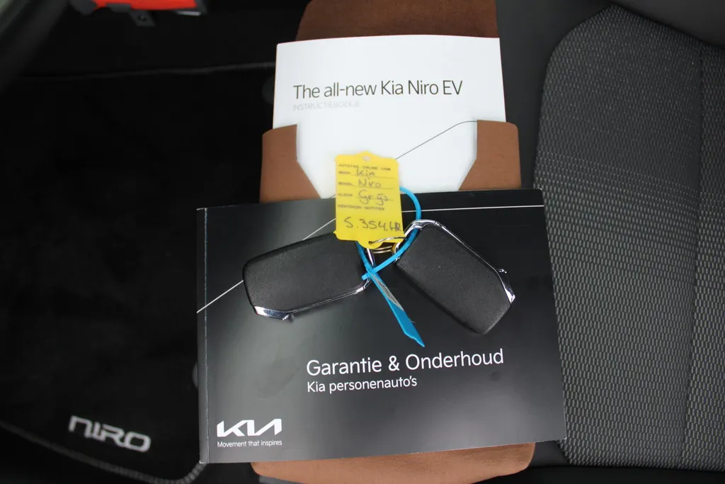 Kia Niro EV DynamicLine 64.8 kWh | Navi | Airco | Cruise | Camera | 17' LM |