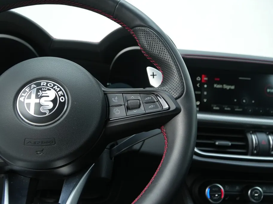 Alfa Romeo Stelvio 2.0 Turbo 280 PK AWD Competizione | Veloce | Pano | Harman | 21'