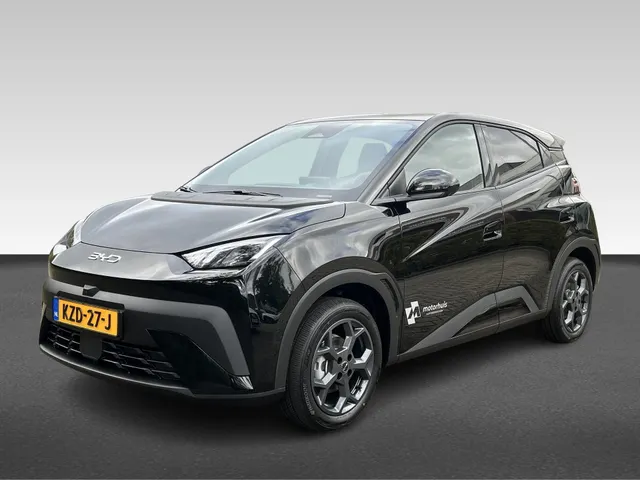 BYD DOLPHIN SURF
