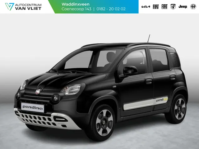 Fiat Pandina