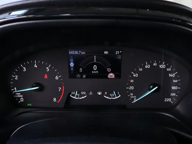 Ford Puma 1.0 EcoBoost Hybrid Titanium | Navigatie | Camera