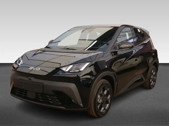 BYD DOLPHIN SURF