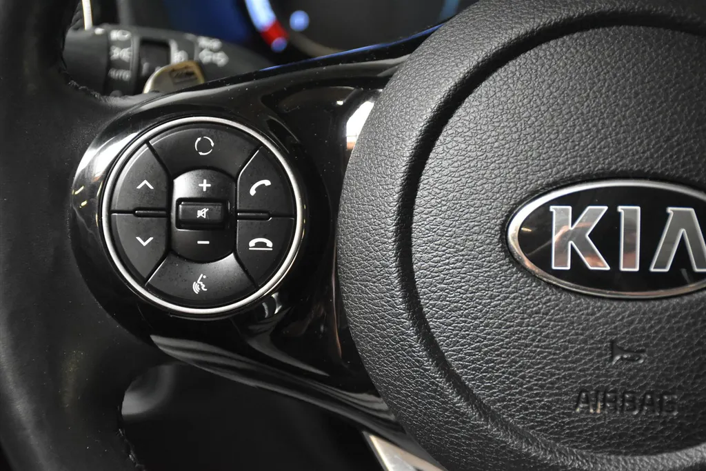 Kia e-Soul 64kWh ExecutiveLine I SOH 100% I TREKHAAK