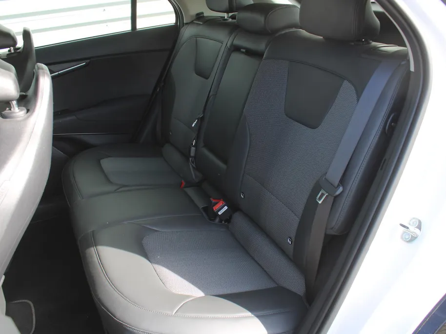 Kia Niro EV DynamicLine 64.8 kWh | Clima | Camera | Cruise adapt. | Carplay | Navi | 17' LM |