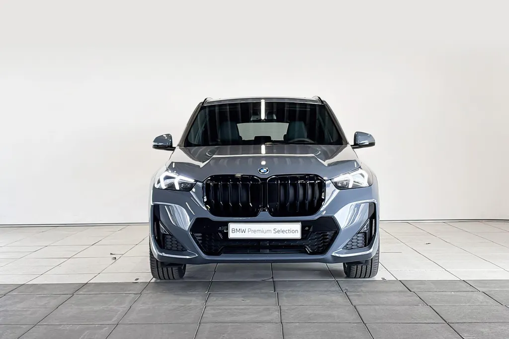 BMW X1 xDrive25e Innovation Pack M Sportpakket Pro