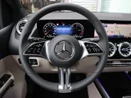 Mercedes-Benz B-Klasse 250 e Business Solution Luxury Line
