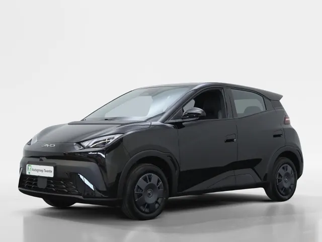 BYD DOLPHIN SURF