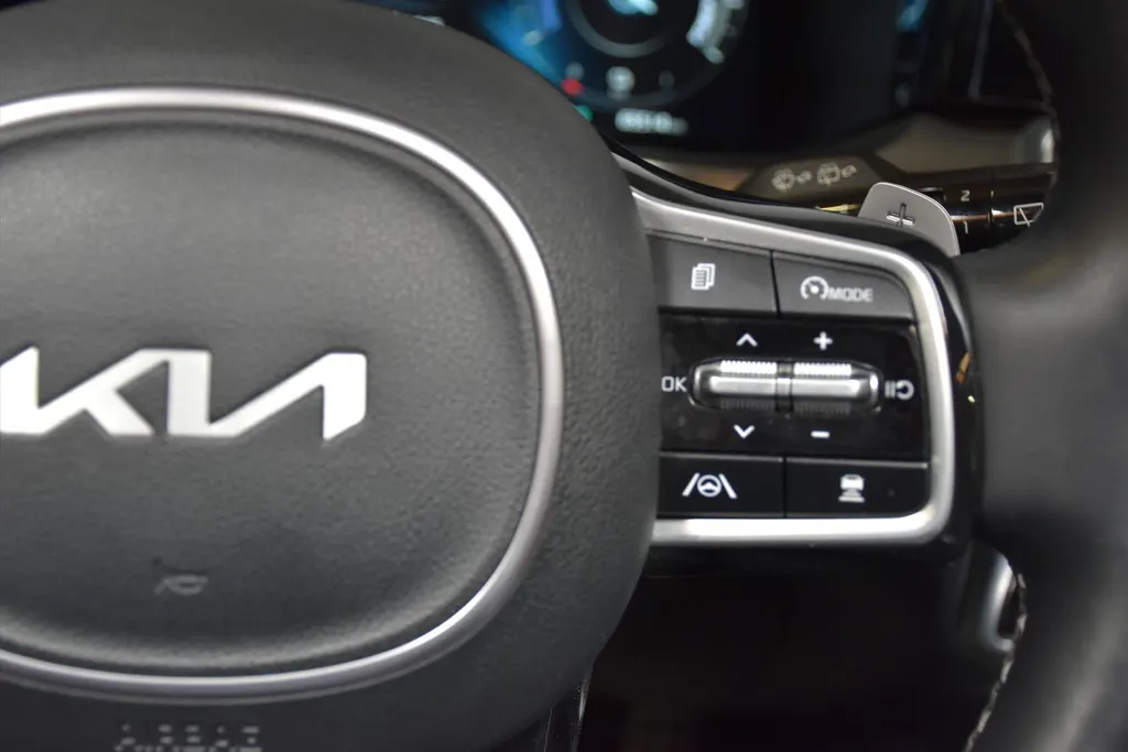 Kia Sorento 1.6 Plug-in Hybrid 4WD ExecutiveLine 7zits |Navi |Pano |Cruise