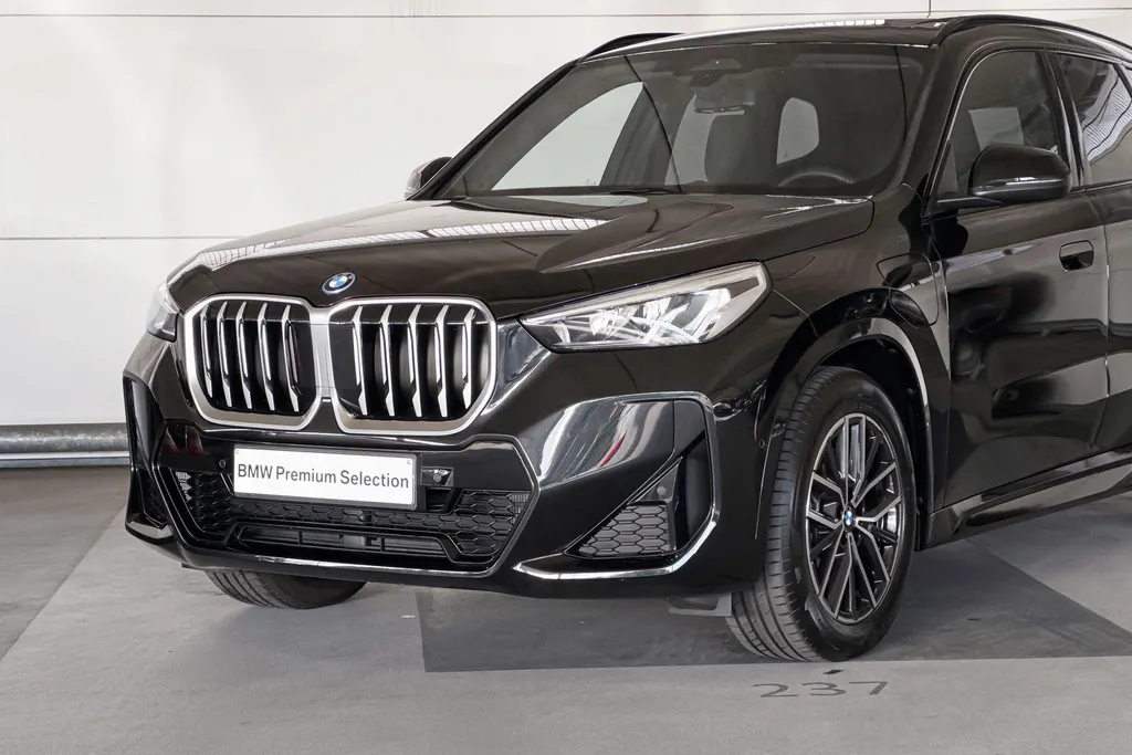 BMW X1 xDrive25e