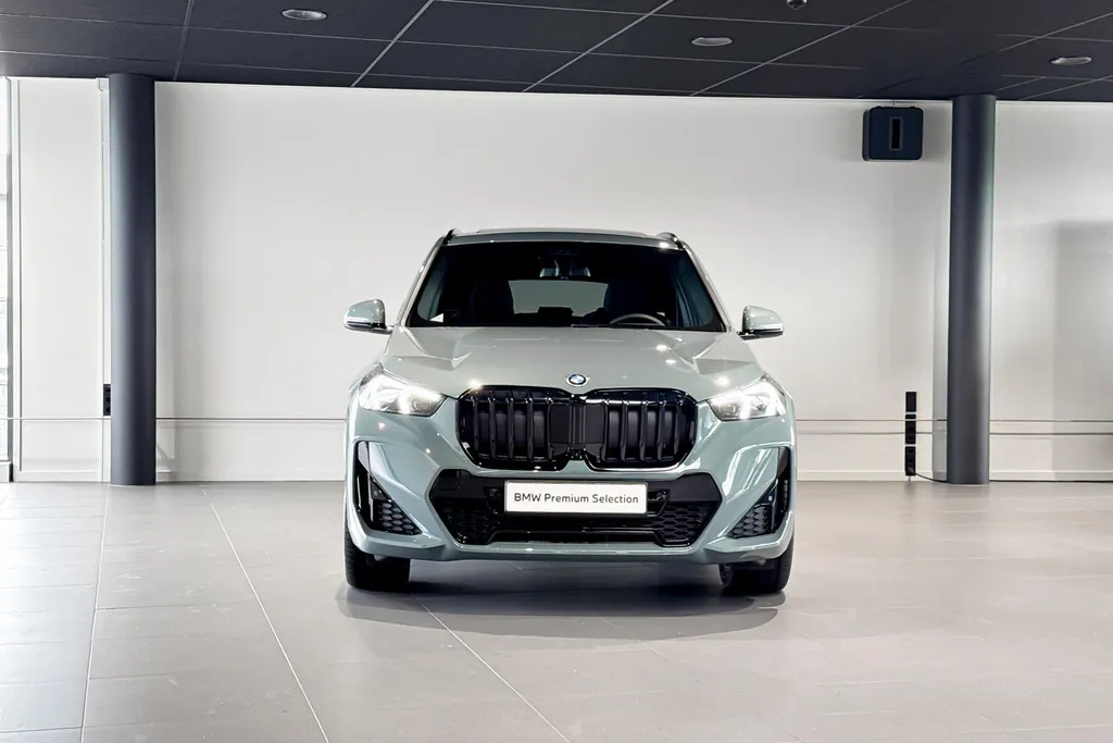 BMW X1 xDrive25e