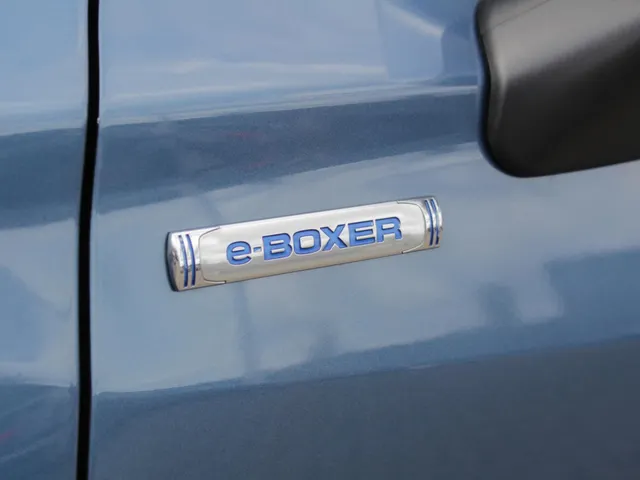 Subaru Forester 2.0i e-BOXER Luxury | Navi | Camera | Trekhaak