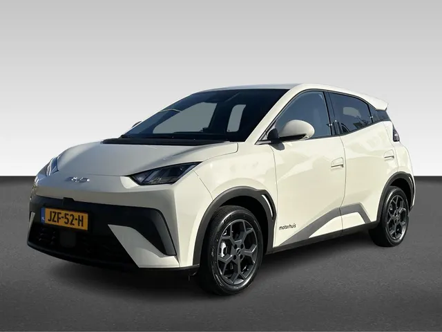 BYD DOLPHIN SURF