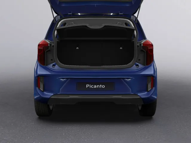 Kia Picanto 1.0 DPI DynamicLine