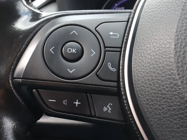 Toyota RAV4 2.5 Hybrid AWD Bi-Tone