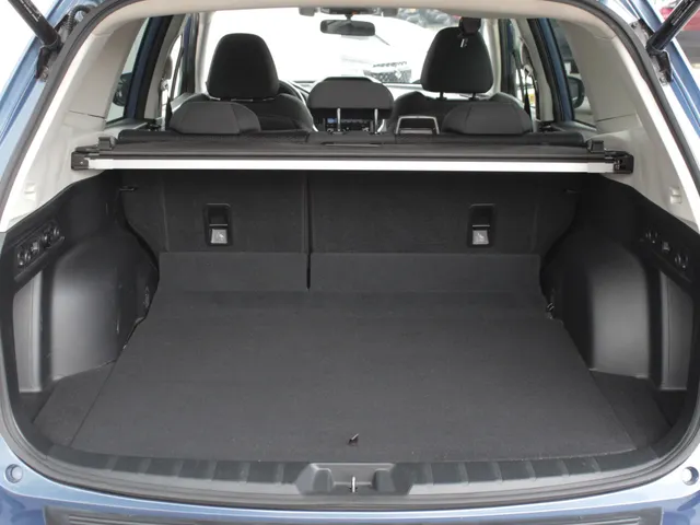 Subaru Forester 2.0i e-BOXER Luxury | Navi | Camera | Trekhaak
