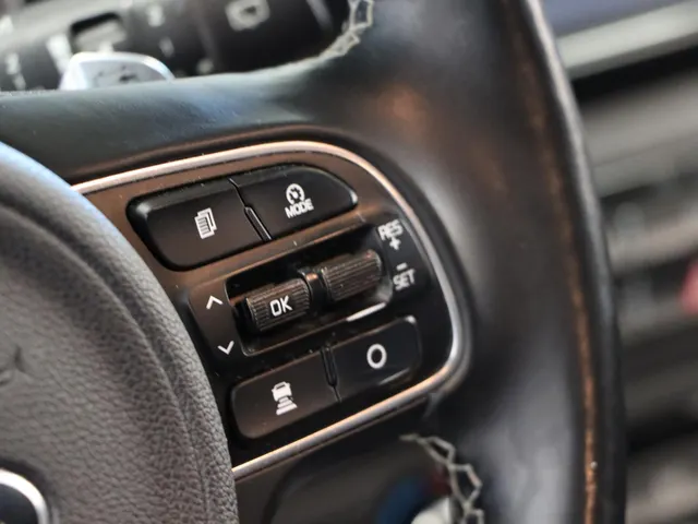 Kia e-Niro ExecutiveLine 64 kWh