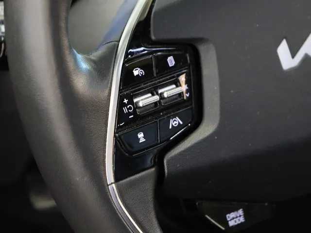 Kia Niro EV DynamicPlusLine 64.8 kWh