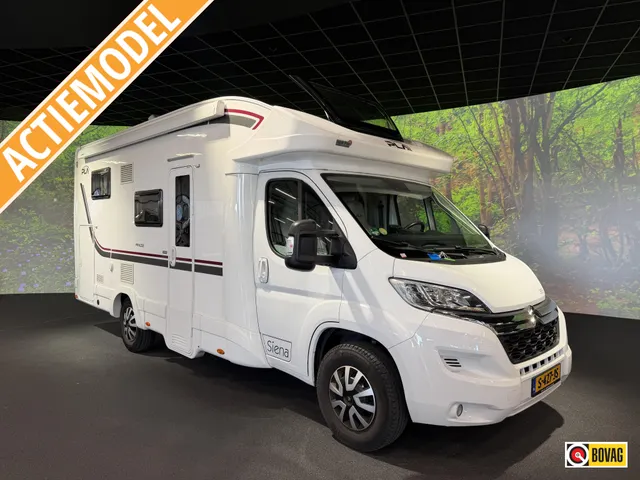 P.L.A. Camper Siena