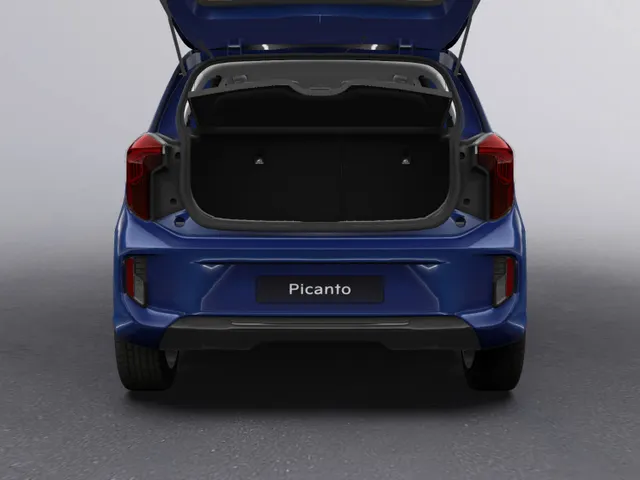 Kia Picanto 1.0 DPI DynamicLine