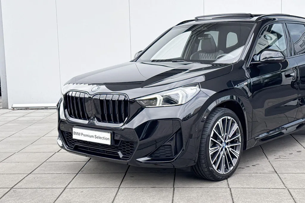 BMW X1 xDrive30e