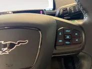 Ford Mustang Mach-E EXTENDED | RWD | 98 KWH | TECH PACK PLUS | TREKHAAK |
