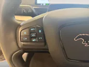 Ford Mustang Mach-E EXTENDED | RWD | 98 KWH | TECH PACK PLUS | TREKHAAK |