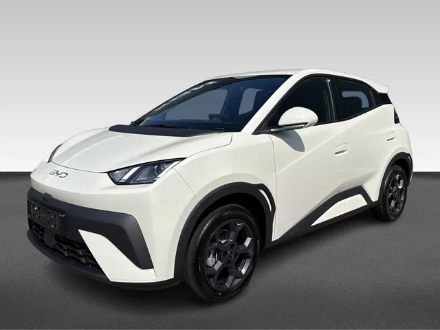 BYD DOLPHIN SURF