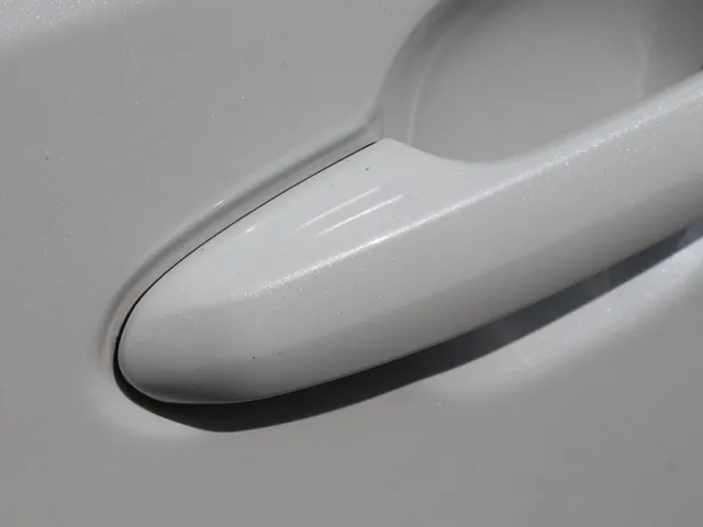 Toyota RAV4 2.5 Hybrid AWD Bi-Tone