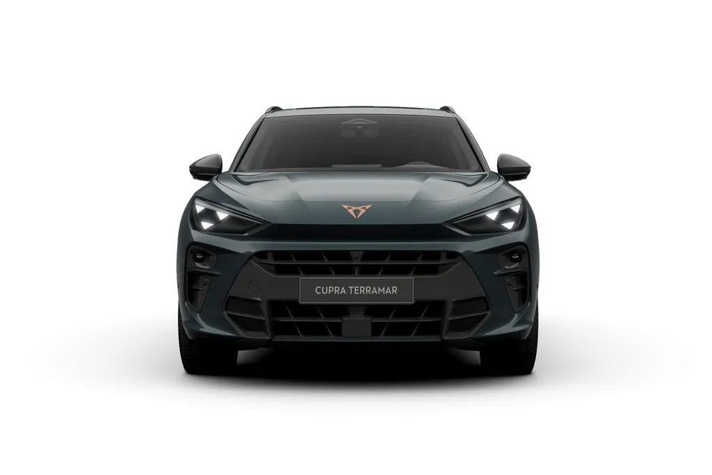 CUPRA Terramar Business | 360 graden camera | Achteruitrijcamera | Draadloze Apple CarPlay™, Android Auto™