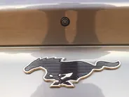 Ford Mustang Mach-E Extended RWD 98 kWh 294pk met Technology Pack Plus | Panodak | 19 inch