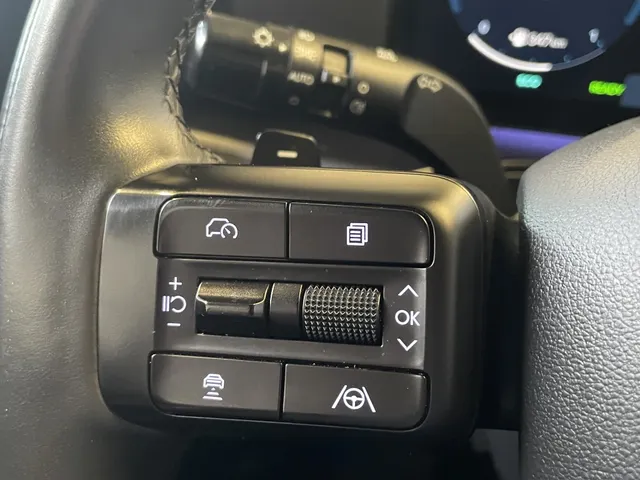 Hyundai Santa Fe 1.6 T-GDI PHEV BLL6p | Trekhaak